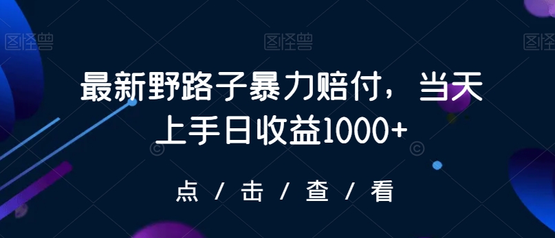 最新野路子暴力赔付，当天上手日收益1000+【仅揭秘】