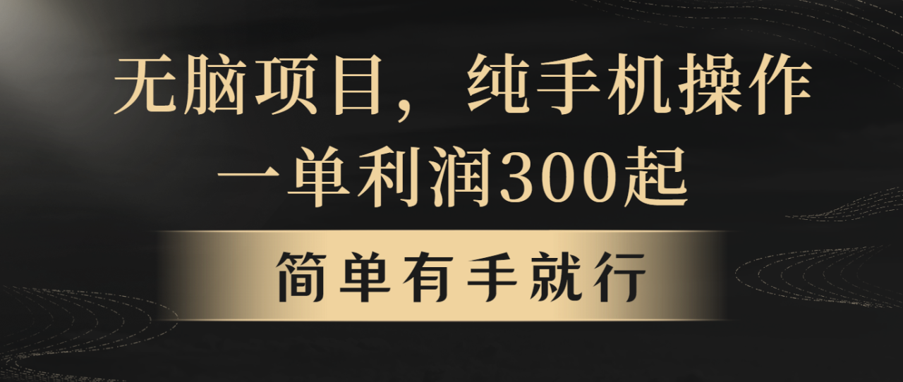 （10589期）无脑项目，一单几百块，轻松月入5w+，看完就能直接操作插图