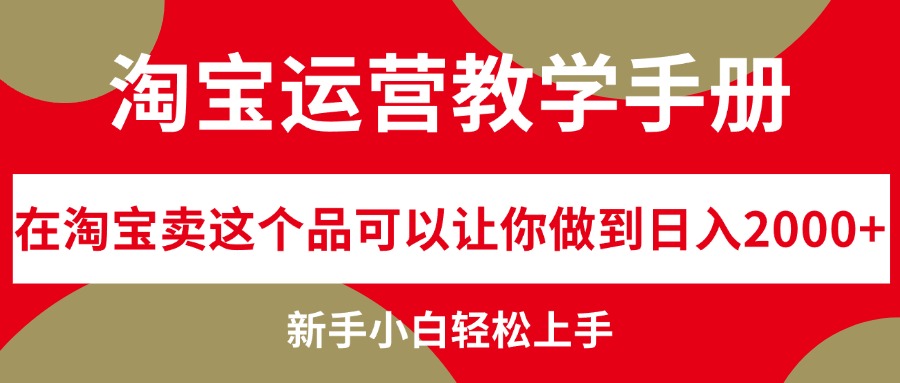 （12351期）淘宝运营教学手册，在淘宝卖这个品可以让你做到日入2000+，新手小白轻…插图