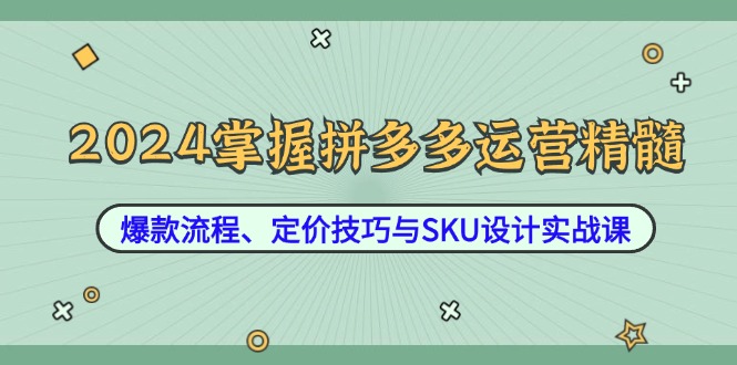 （12703期）2024掌握拼多多运营精髓：爆款流程、定价技巧与SKU设计实战课插图