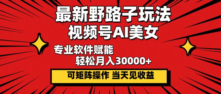 （12798期）最新野路子玩法，视频号AI美女，当天见收益，轻松月入30000＋插图