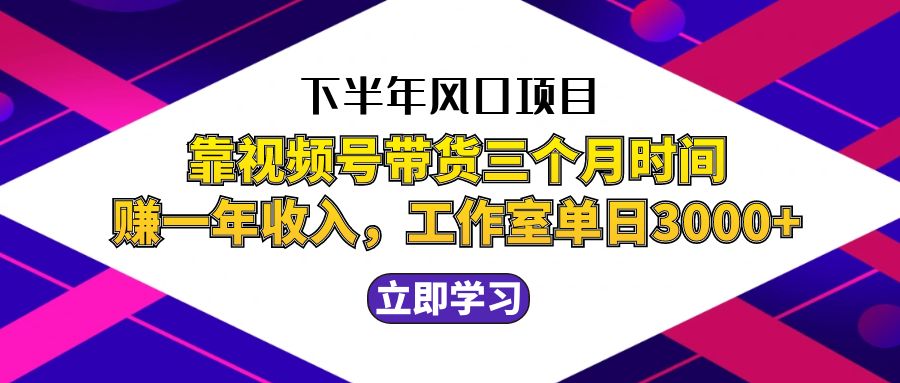 （12849期）下半年风口项目，靠视频号带货三个月时间赚一年收入，工作室实测单日3…插图