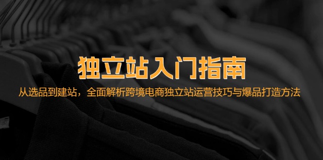 （12882期）独立站入门指南：从选品到建站，全面解析跨境电商独立站运营技巧与爆品…插图