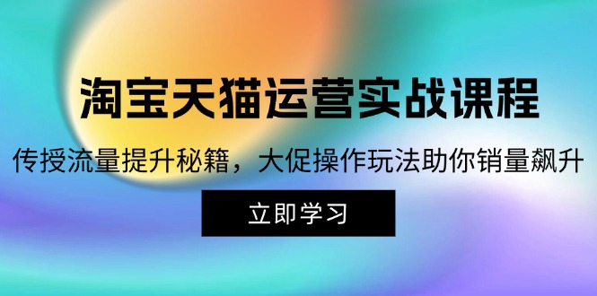 （12959期）淘宝&天猫运营实战课程，传授流量提升秘籍，大促操作玩法助你销量飙升插图