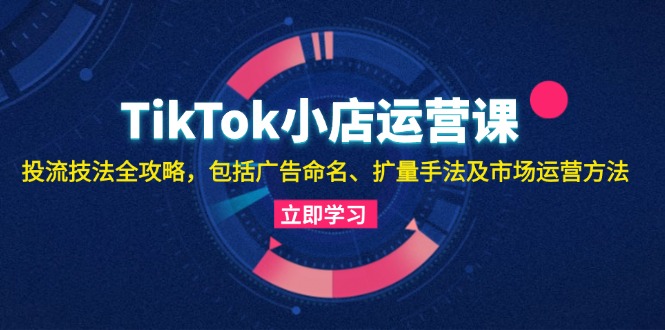 （13063期）TikTok小店运营课：投流技法全攻略，包括广告命名 扩量手法及市场运营方法插图