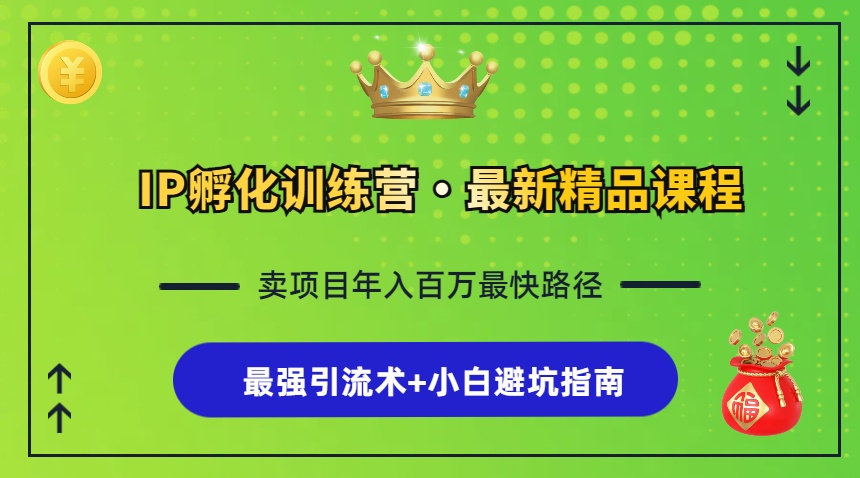 （13055期）IP孵化训练营，知识付费全流程+最强引流术+小白避坑指南插图