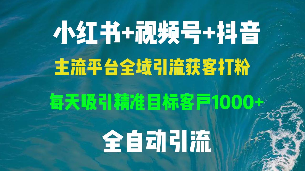 （13104期）小红书，视频号，抖音主流平台全域引流获客打粉，每天吸引精准目标客户…插图